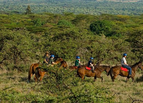 9 Days affordable Kenya family adventure safari holiday