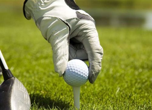 11 Days Golf Safari Package