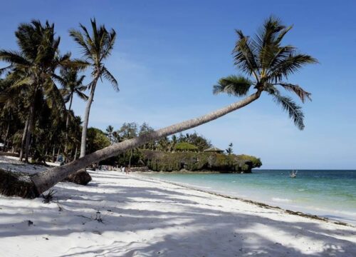 Mombasa Beach Safaris