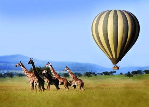 12 Days Kenya wildlife family vacation and beach holidays