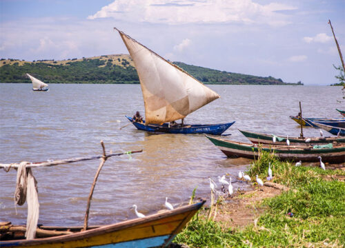 9 Days Kenya Culture and Community (Western) Safari