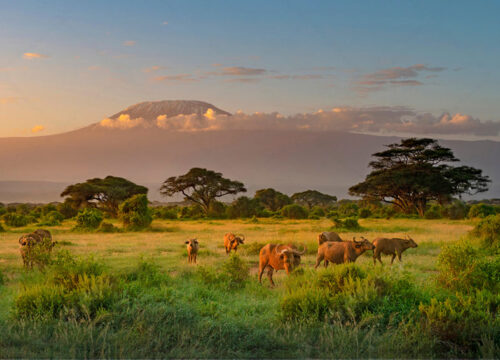 7 Days Climbing Mount. Kilimanjaro