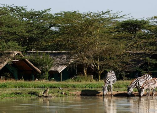 2 Days Shimba Hills National Reserve