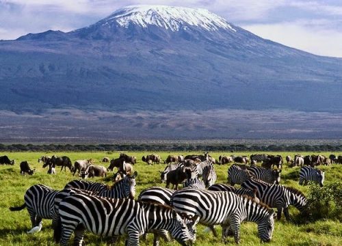 Amboseli National Park