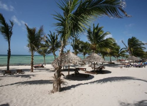 Jacaranda Watamu Bay