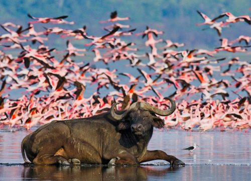 Lake Nakuru National Park