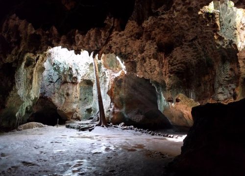 The Shimoni Slave Caves