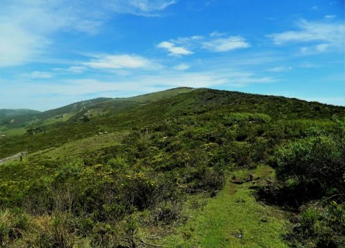 The Cherangani Hills