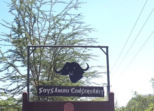 Soysambu Conservancy